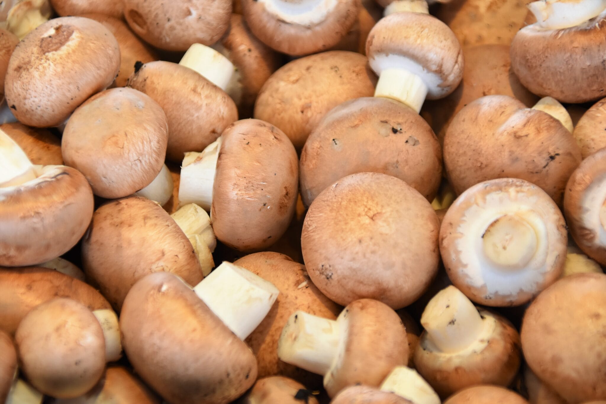 Calories des champignons (et champignons de Paris)
